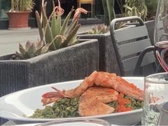 -Magnet磁食(同德店)