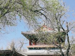 -潭柘寺景区