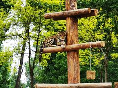 -北京野生动物园