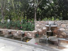 -映月湖公园