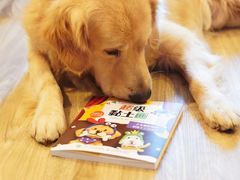 -iF摄影•全家福•证件照•形象照(南山店)