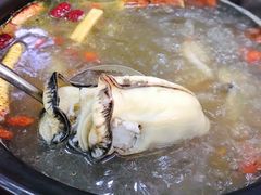 -濠轩阁特色生蚝火锅(水湾路店)