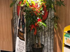-麦当劳(莘松路芭比伦DT店)