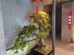 -将军府·鸡毛店(武侯祠店)