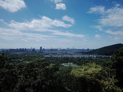 -苏州上方山国家森林公园