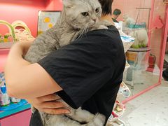 -FAELING PETS美天灵宠物(合生汇店)