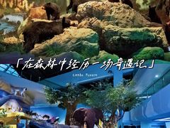 -武汉园博园(武汉自然博物馆)