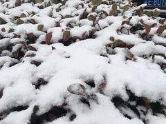 -熙盛源(苏苑街店)