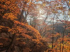 -五女峰国家森林公园