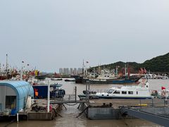 -沈家门渔港