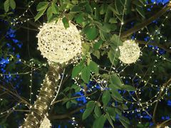 -云里小坐·小院里·团建·宴请·下午茶(三圣乡店)