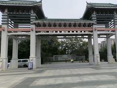 -王借岗森林公园