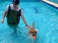 -趣玩宠物乐园寄养训犬训狗游泳池
