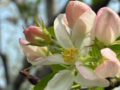 -衡山北郊宾馆-餐厅(顾村公园店)