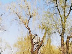 -杭州西湖风景名胜区-钱祠表忠