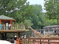 -大连森林动物园