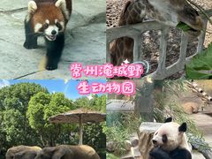 -常州淹城野生动物世界