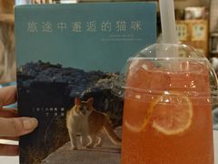 -滚猫咖啡·猫咖·猫友好撸猫(未来城店)