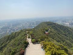 -杭州半山国家森林公园