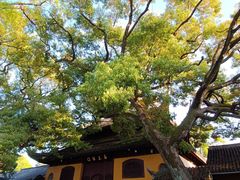 -西园戒幢律寺