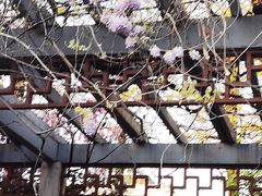 -郑和公园