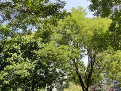 -木塔寺遗址生态公园
