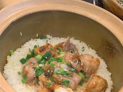 -红星光发煲仔饭(文海店)
