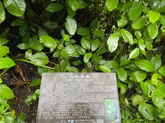 -海口火山口国家地质公园