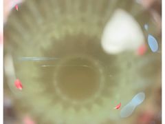 -侘寂甜品(自取店)