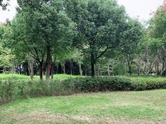 -贡湖湾湿地公园