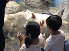 -梦幻海洋王国(吾悦广场张家港店)