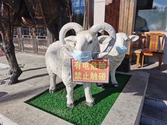 -诺敏塔拉奶茶-布里亚特包子-手把肉(锦都会店)