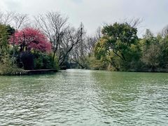 -西溪国家湿地公园