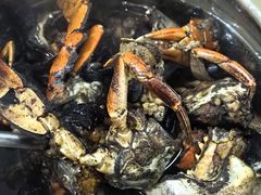 -老财炒饭·熟地蟹·冬瓜蟹