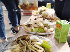 -南宁良凤江国家森林公园