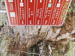 -北京上方山国家森林公园