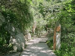 -王顺山国家森林公园