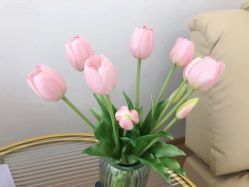 -盼兮·日式美睫沙龙