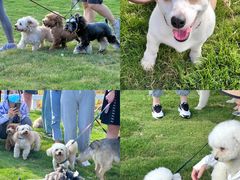 -南京外国语学校(仙林分校西区)