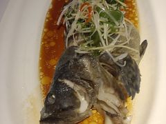 -老洋房花园饭店(绍兴路店)