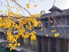 -乌镇东栅景区