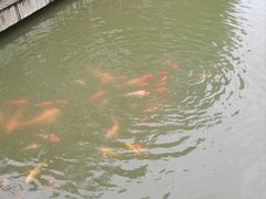 -光明港公园