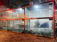 -匠岳·王宝器麻椒鱼(都江堰店)
