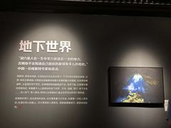 -凤凰国际书城(凤凰广场店)