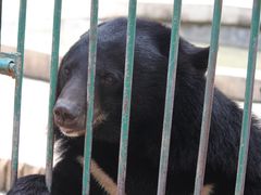 -栾川竹海野生动物园