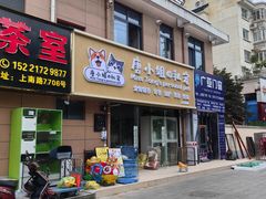 -唐小姐の私宠·宠物洗护美容·撸猫馆·购宠(周浦万达旗舰店)