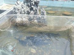 android_upload_pic-寻味肇庆·八姑农庄·广府西江菜
