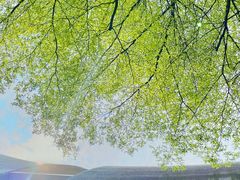 -广州市第二少年宫