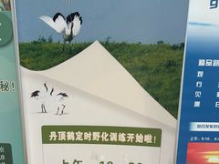 -盐城丹顶鹤湿地生态旅游区