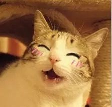 -川崎形象·GANO HAIR  salon